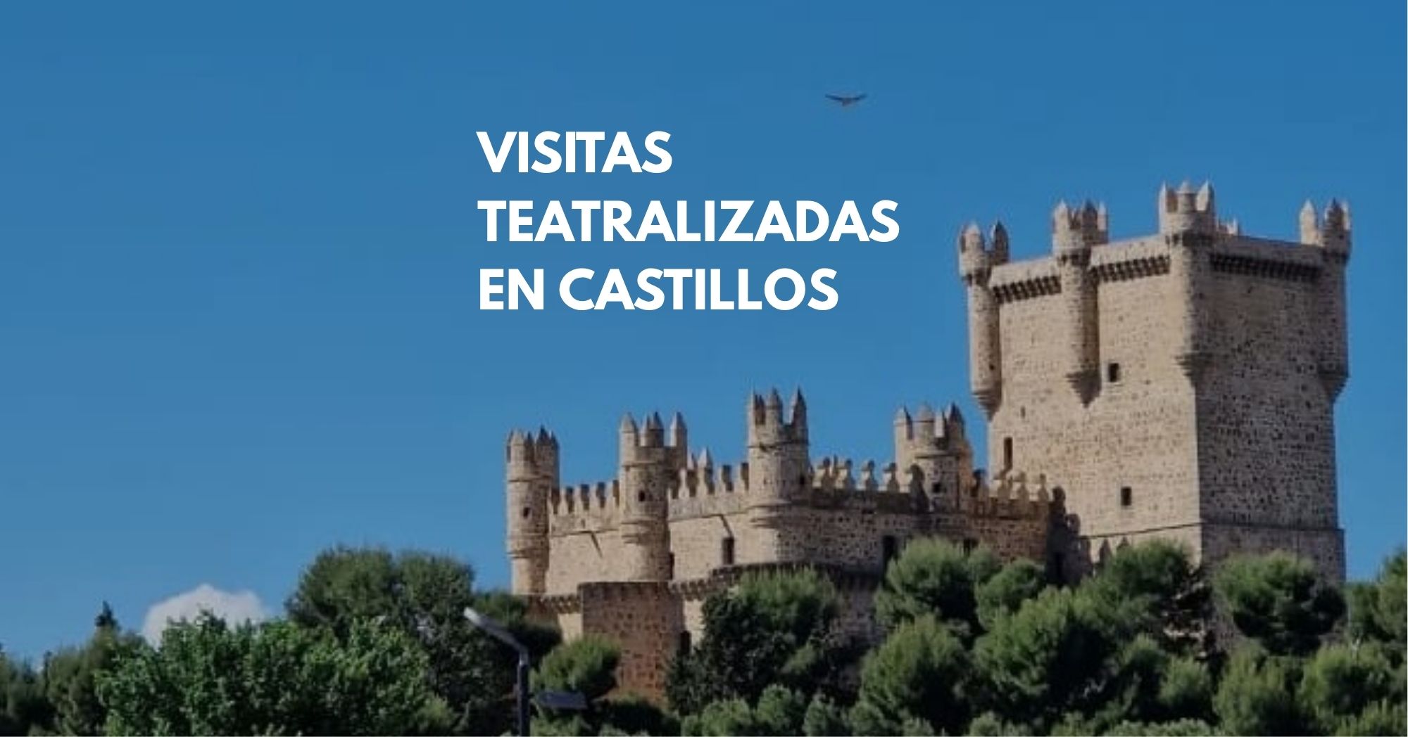 Visita teatralizada: Castillos próximos a Madrid