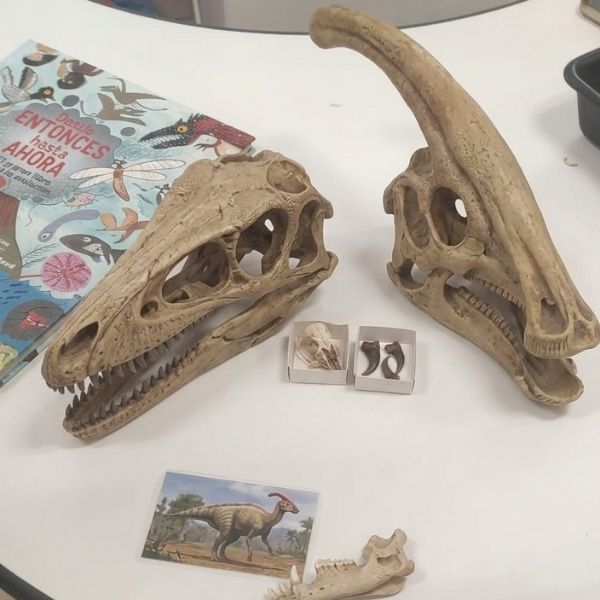 fosiles dinosaurios