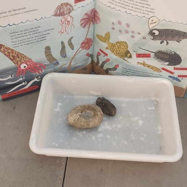 fosiles dinosaurios