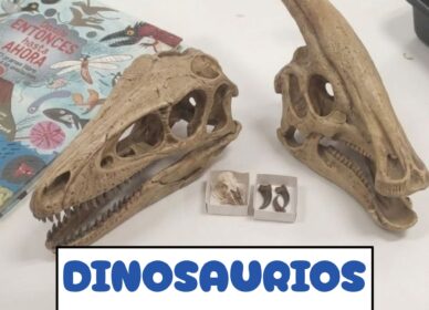 PREHISTORIA: LOS DINOSAURIOS Y EL ORIGEN DE LA VIDA